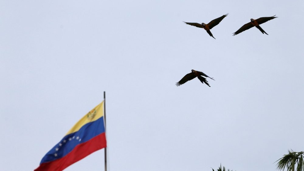 Bandera de venezuela