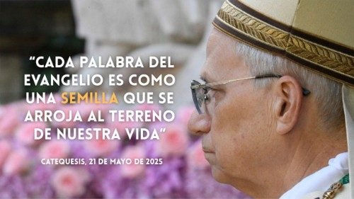 El Papa León XIV, la parábola del Sembrador